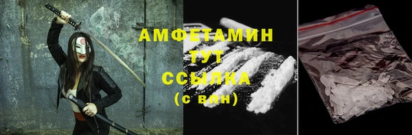 стаф Осинники