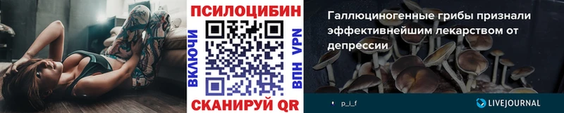 купить наркотик  мориарти официальный сайт  Псилоцибиновые грибы мицелий  Озёры 